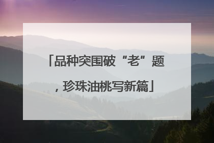 品种突围破“老”题，珍珠油桃写新篇